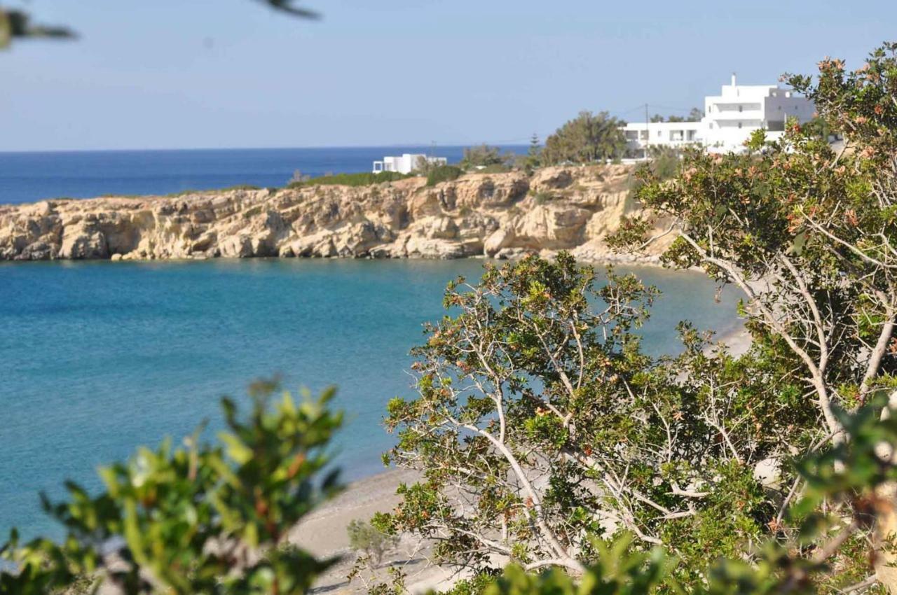 Beachfront Villa On Crete - Kirvas, Member Of Pelagaios Villas Koutsounári Ngoại thất bức ảnh